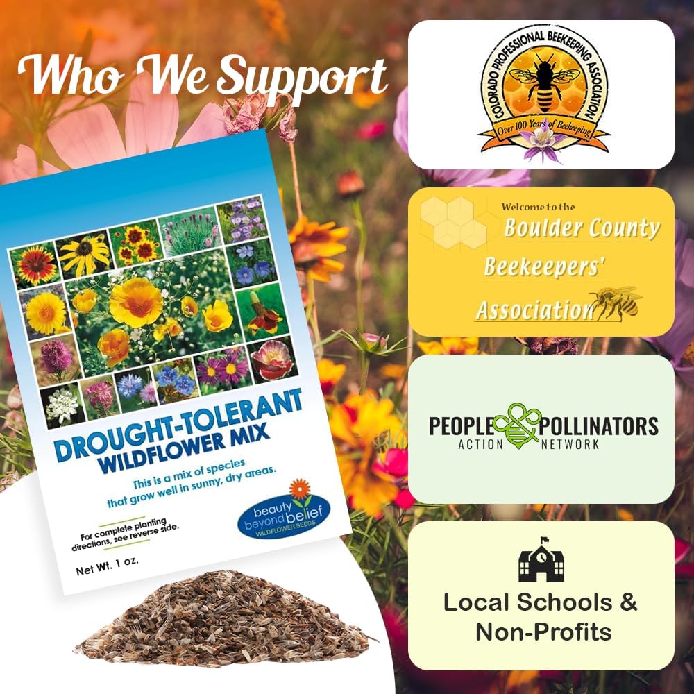 Wildflower Seeds - Drought Resistant Open-Pollinated Mix for Vibrant Perennial & Annual Blooms - 1oz Packet