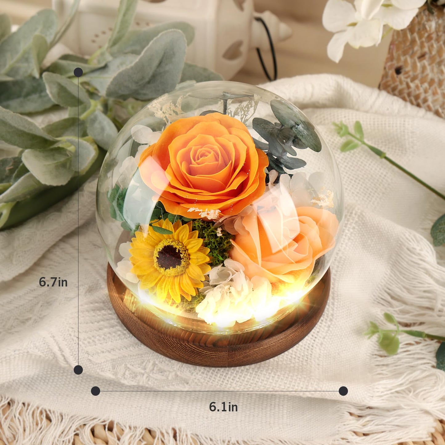 FAYODO Preserved Flowers with Light, Eternal Rose as Gifts for Women Mom Grandma Girlfriend for Birthday Christmas Valentine's Day Mother's Day Anniversary Thanksgiving, Champagne