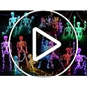 Halloween Skeleton Decor 2 Pack with Orange & Purple Lights, Adjustable Joints, 3FT