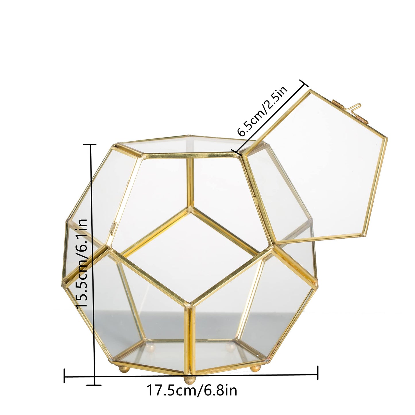 NCYP 6.89 x 6.89 x 5.9 inches Glass Geometric Terrarium Planter with Door and Foot, Pentagon Ball Shape Close Flower Pot for Fern Succulents Plants, Small, Gold (No Plants)