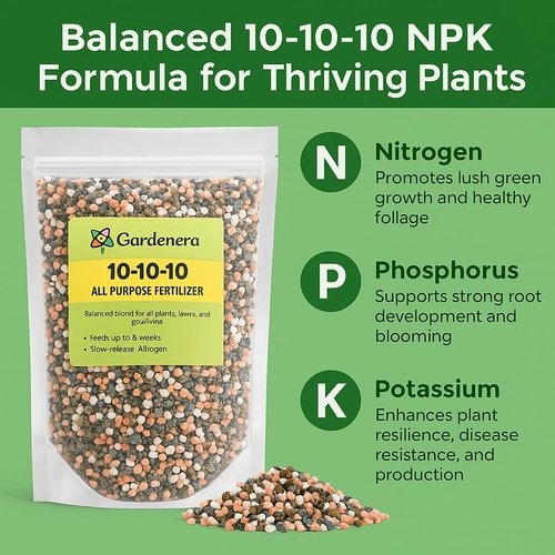 BestSeller 10-10-10 Plant Fertilizer - Slow Release All-Purpose Formula for Trees & Vegetables | 8 OZ