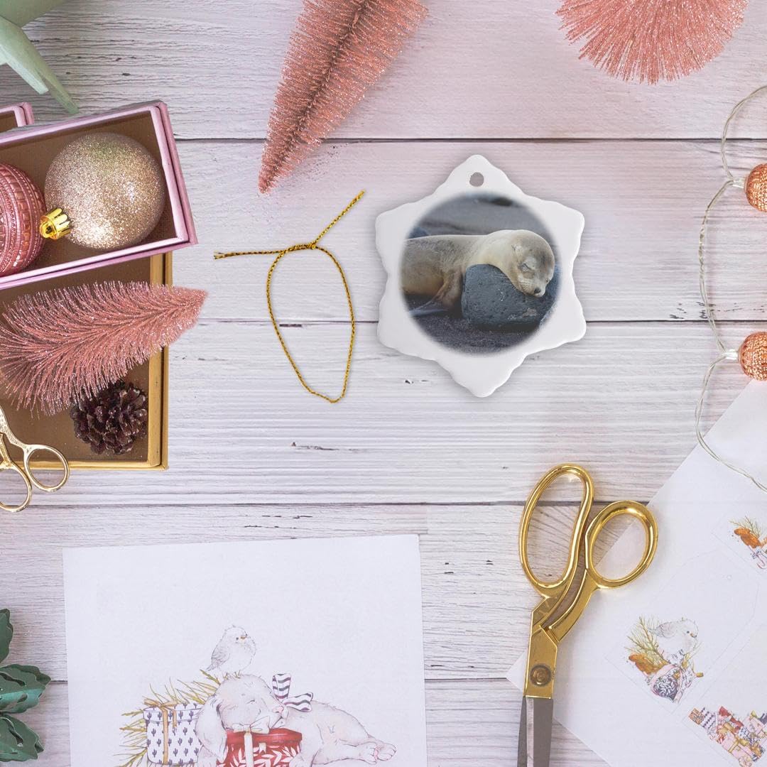 Galapagos Sea Lion Snowflake Ornament - 3DRose Ecuador Santiago Island Decor