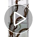 63" Faux Tree Trunk Branch Wall Hanging Grape Vines Spooky Decor