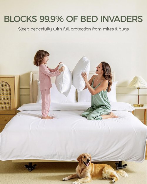 FAUNNA 100% Cotton Duvet Cover - Hypoallergenic & Bed Bug Proof | White Minimalist Design (Queen)