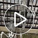 5.4Ft Halloween Skeleton with Movable Joints Life Size Human Bones Indoor Outdoor Decor