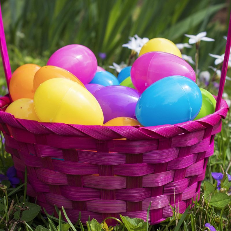 YZNlife 600Pcs Plastic Easter Eggs Bulk – 2.3" Fillable Empty Eggs for Easter Egg Hunt, Party Favors, Basket Stuffers, Classroom Prizes, & Treat Filling – Bright Multicolor 