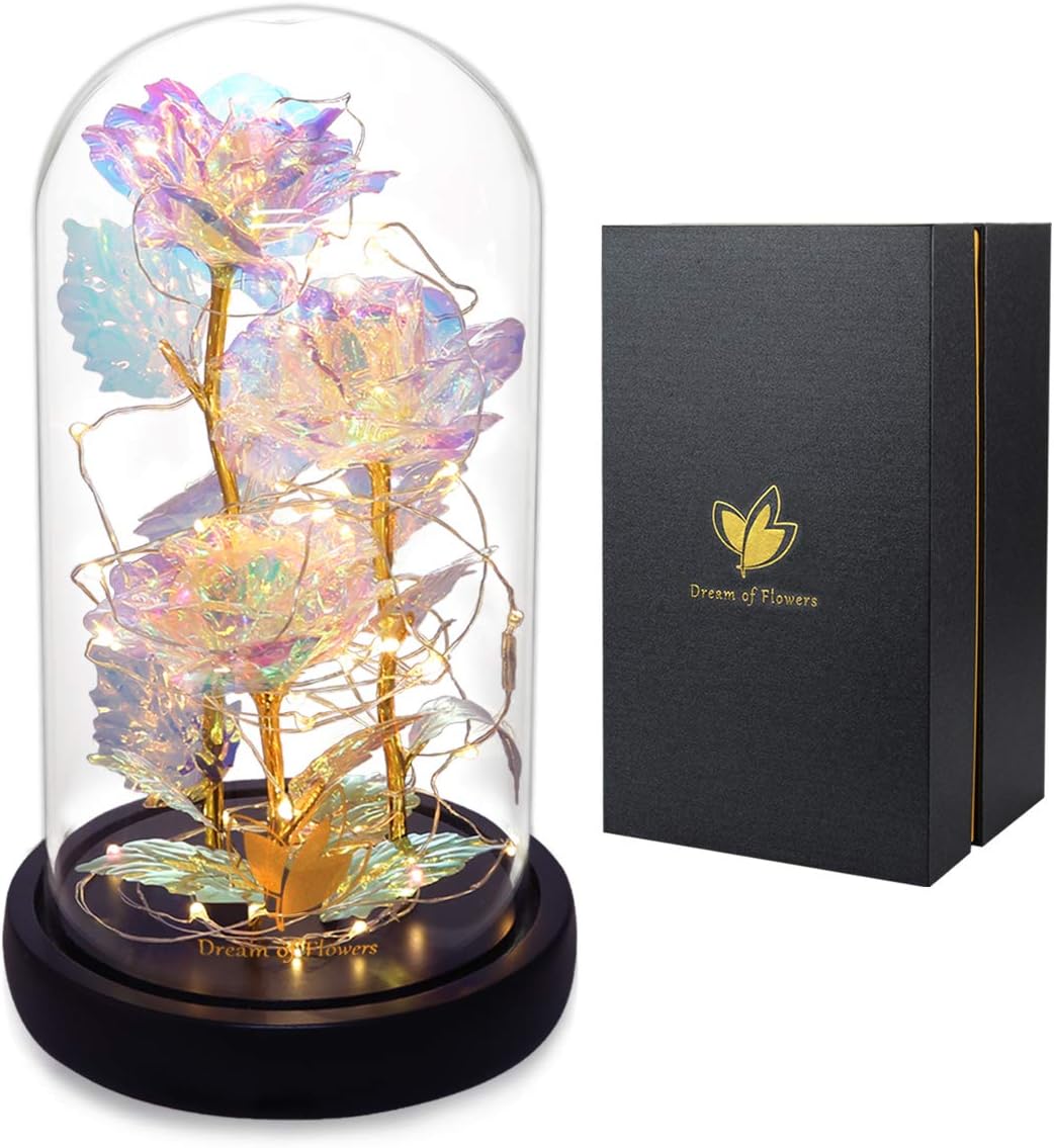 Birthday Gifts for Women,Beauty and the Beast Rose in Glass Dome,Preserved Rose with Warm Lights,Flower for Delivery Prime,Forever Flower Gifts for Women Mom Wife Girlfriend, Anniversary Birthday Gift