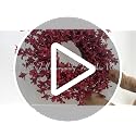 24 Inch Burgundy Fall Wreath with Artificial Forsythia for Front Door