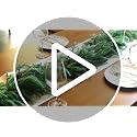 15FT Norfolk Pine Garland - Extra Full Real Touch Holiday Decor for Indoor & Outdoor Use, by Tixiquns