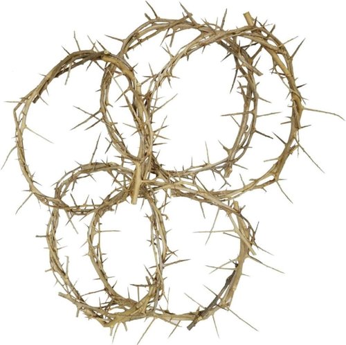 Bethlehem Gifts™ Life-Size Crown of Thorns Replica - Authentic Holy Land Design (4")