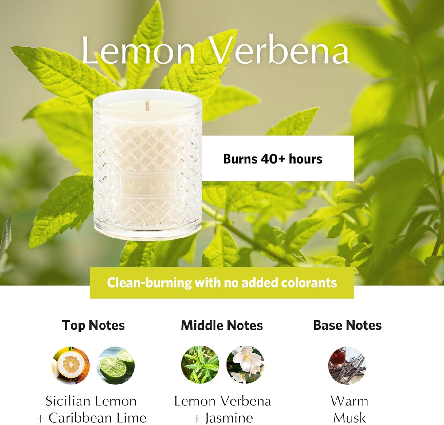 AGRARIA Scented Candles, 7 Oz, Long-Lasting Scented Candles for Home, Elegant Home Fragrance Gifts for Men and Women