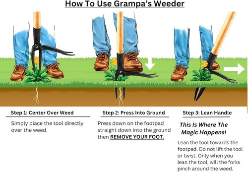 Grampa's Weeder - Original Stand-Up Weed Puller Tool with Bamboo Handle & 4-Claw Steel Head - Effortlessly Remove Weeds Without Bending
