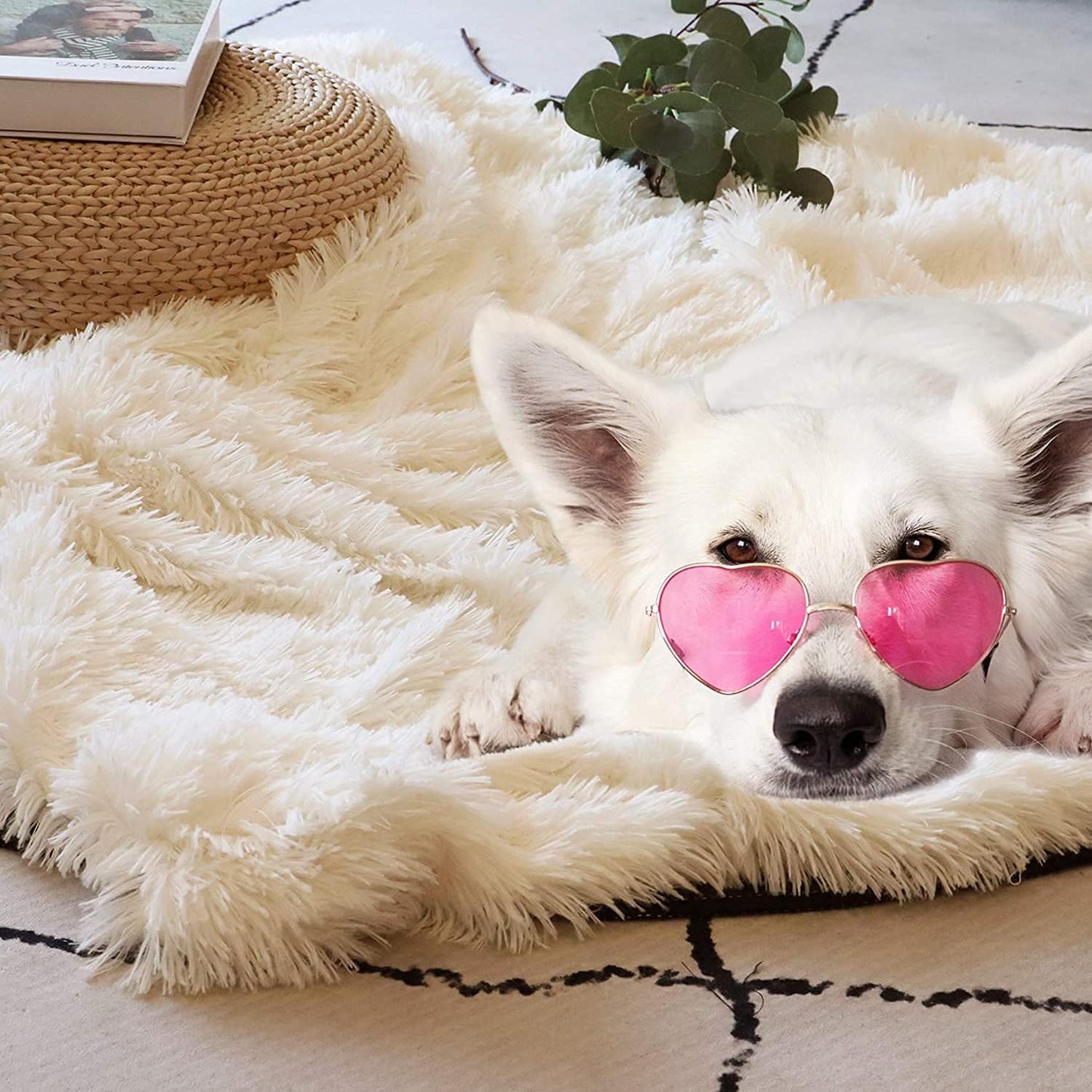 Tuddrom Faux Fur Throw Blanket - Extra Soft & Cozy Reversible Shaggy Design | 50" x 60", Cream White