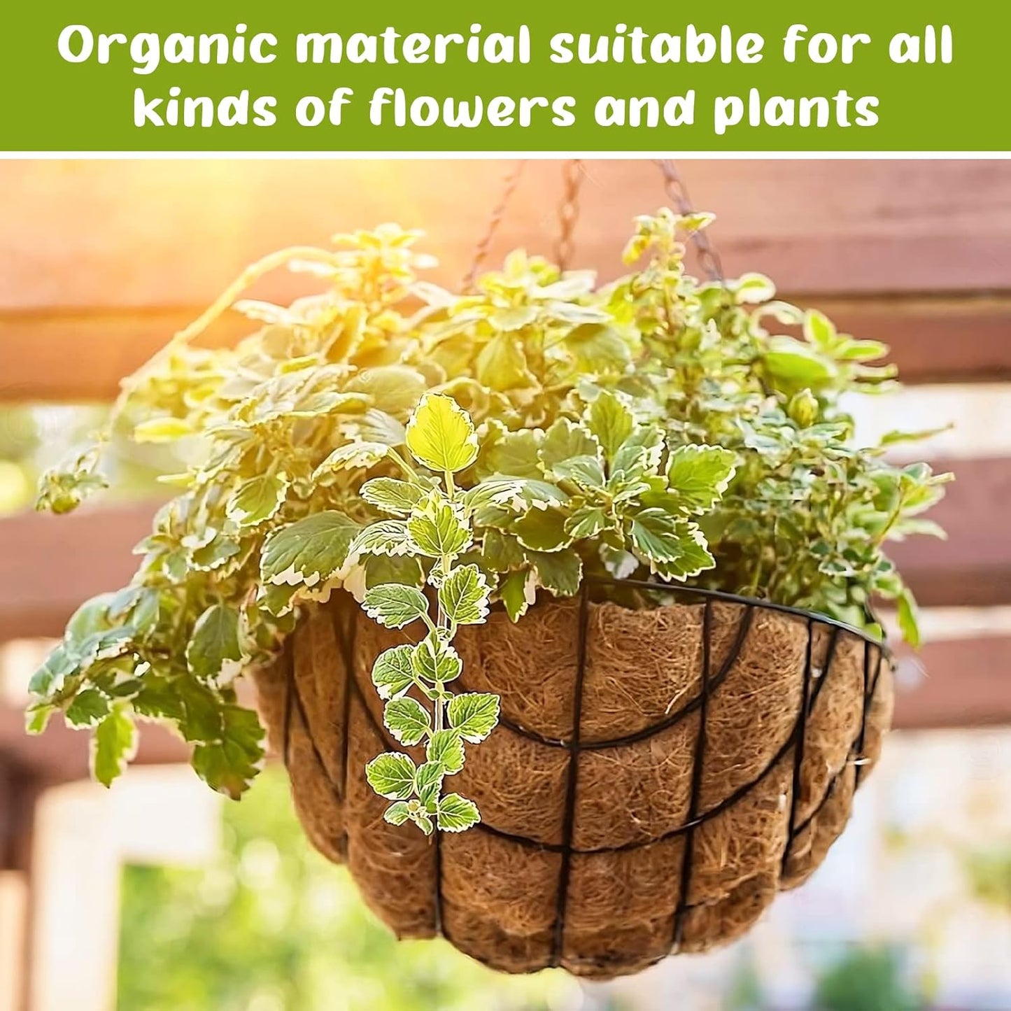 Legigo 10-Inch Coco Fiber Hanging Basket Liners - 100% Natural Round Replacement for Flowers & Vegetables