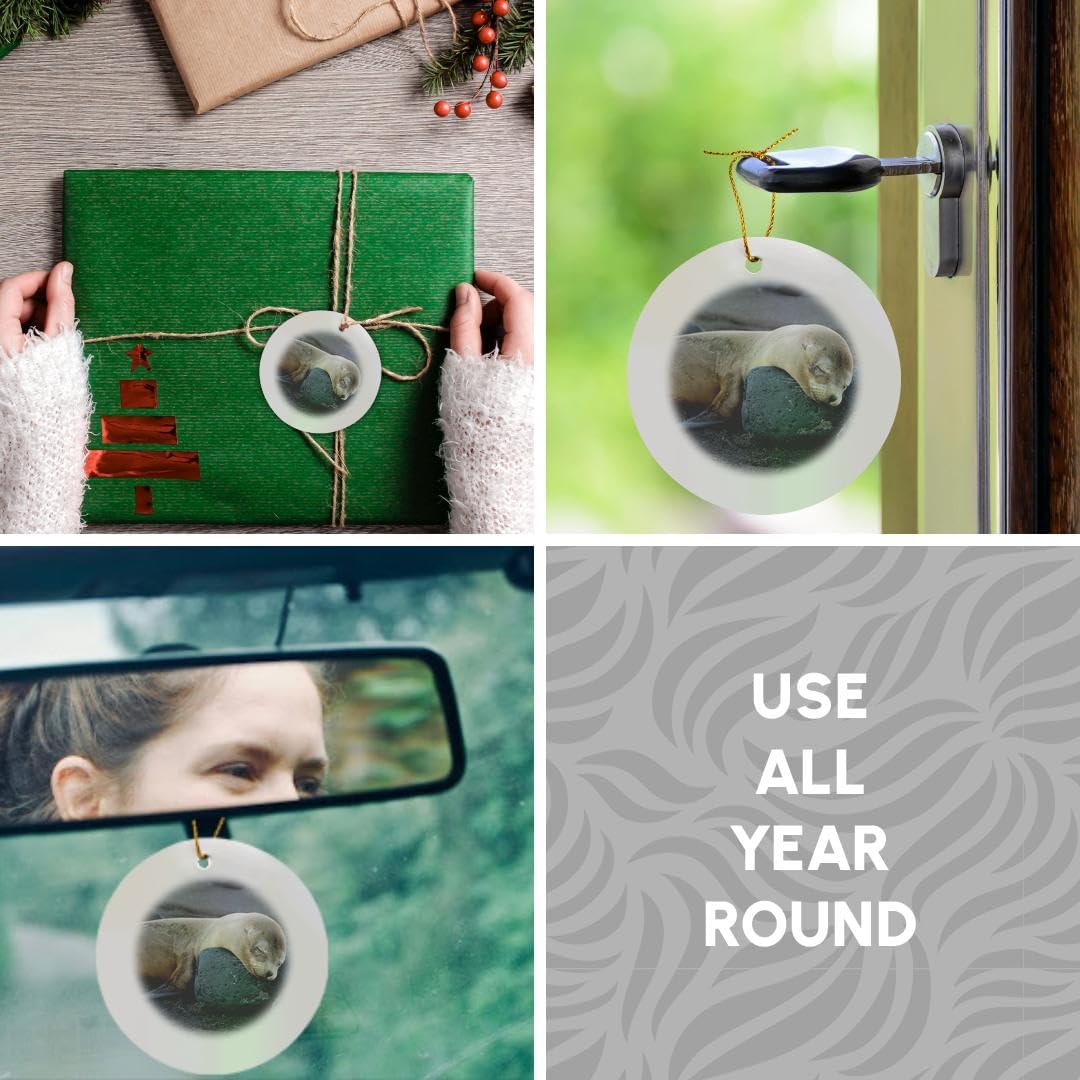 Galapagos Sea Lion Snowflake Ornament - 3DRose Ecuador Santiago Island Decor