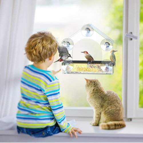 DY-SKTY Clear Window Bird Feeder - Sturdy Acrylic Design with 5 Strong Suction Cups | Perfect for Bird Watching and Garden Decor