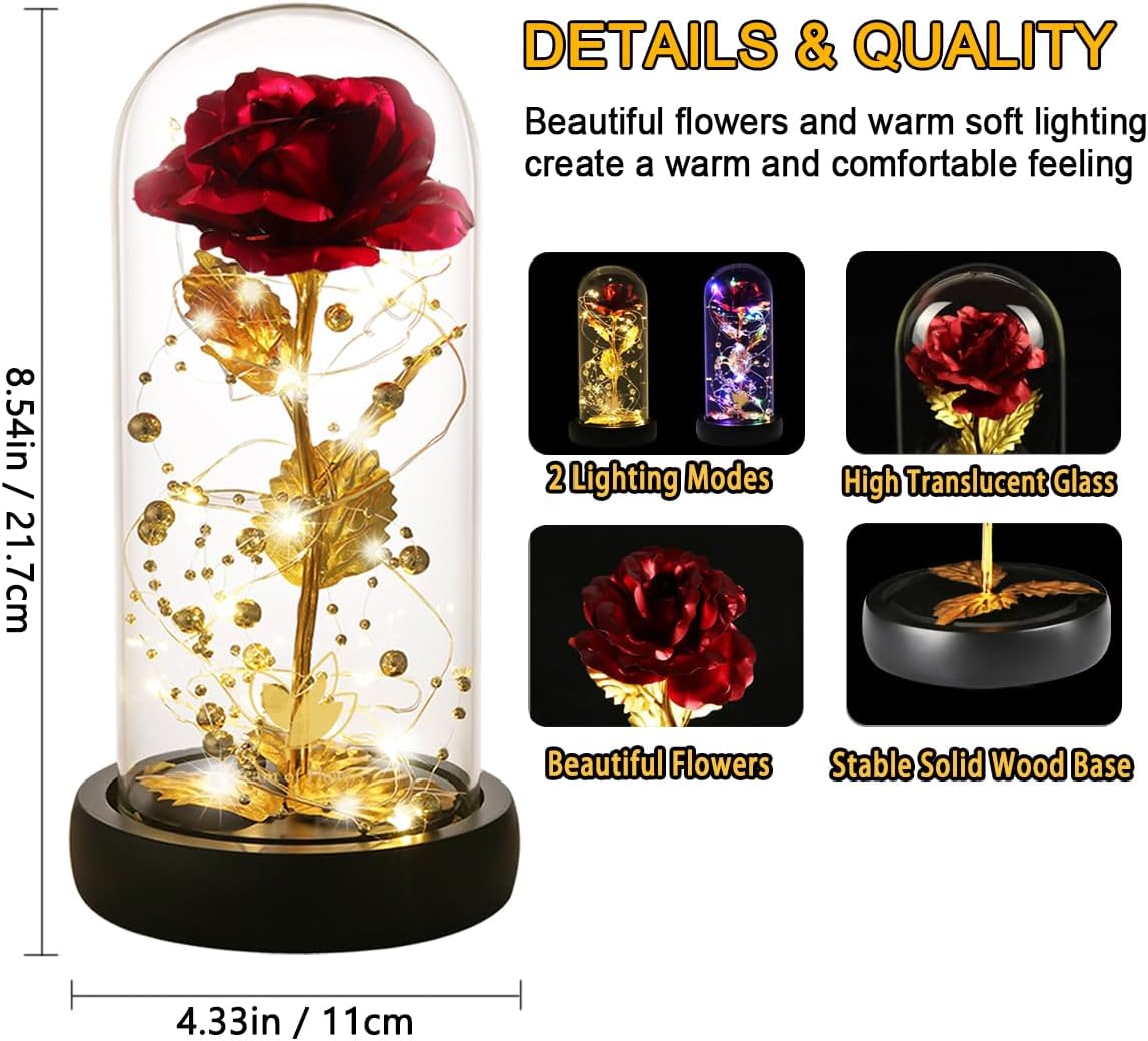 Birthday Gifts for Women,Beauty and the Beast Rose in Glass Dome,Preserved Rose with Warm Lights,Flower for Delivery Prime,Forever Flower Gifts for Women Mom Wife Girlfriend, Anniversary Birthday Gift