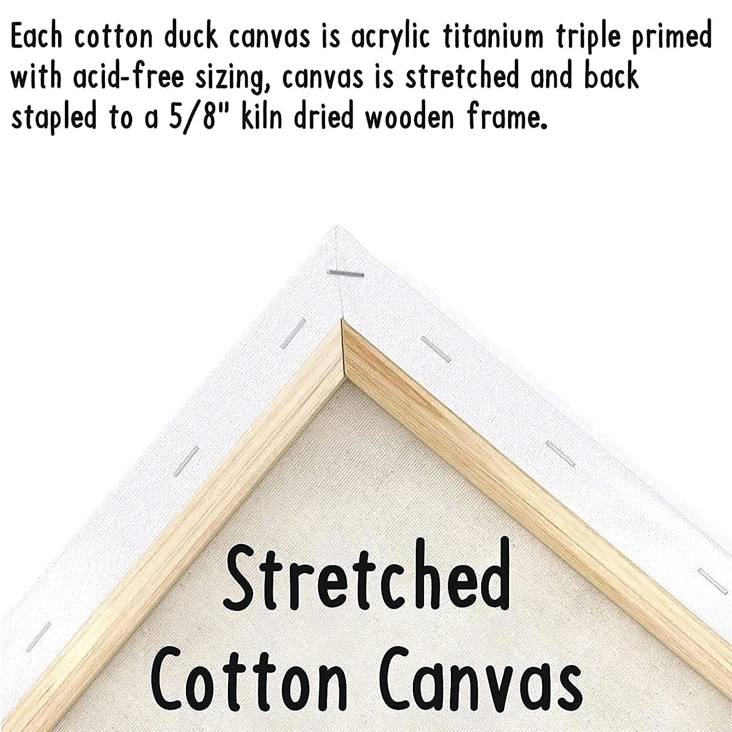 Sneakers Canvas Painting Set | Paint and Sip | Air Jordan | 2 Pack 8x10 Inches | Stretched Canvas with a frame | Couples Date Night Adults Kids Beginner | Christmas Gift | Birthday Party