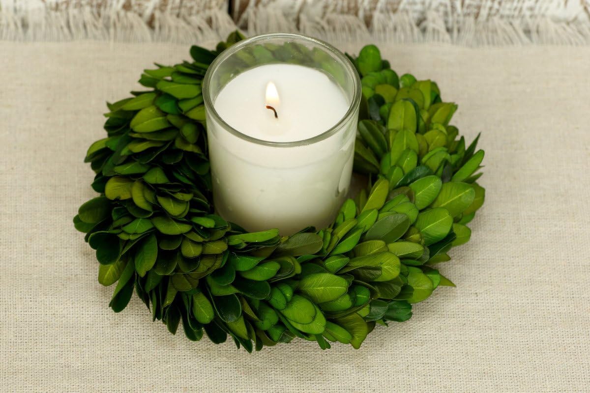 Preserved Boxwood Wreath - Authentic Decorative Greenery for Home Decor
