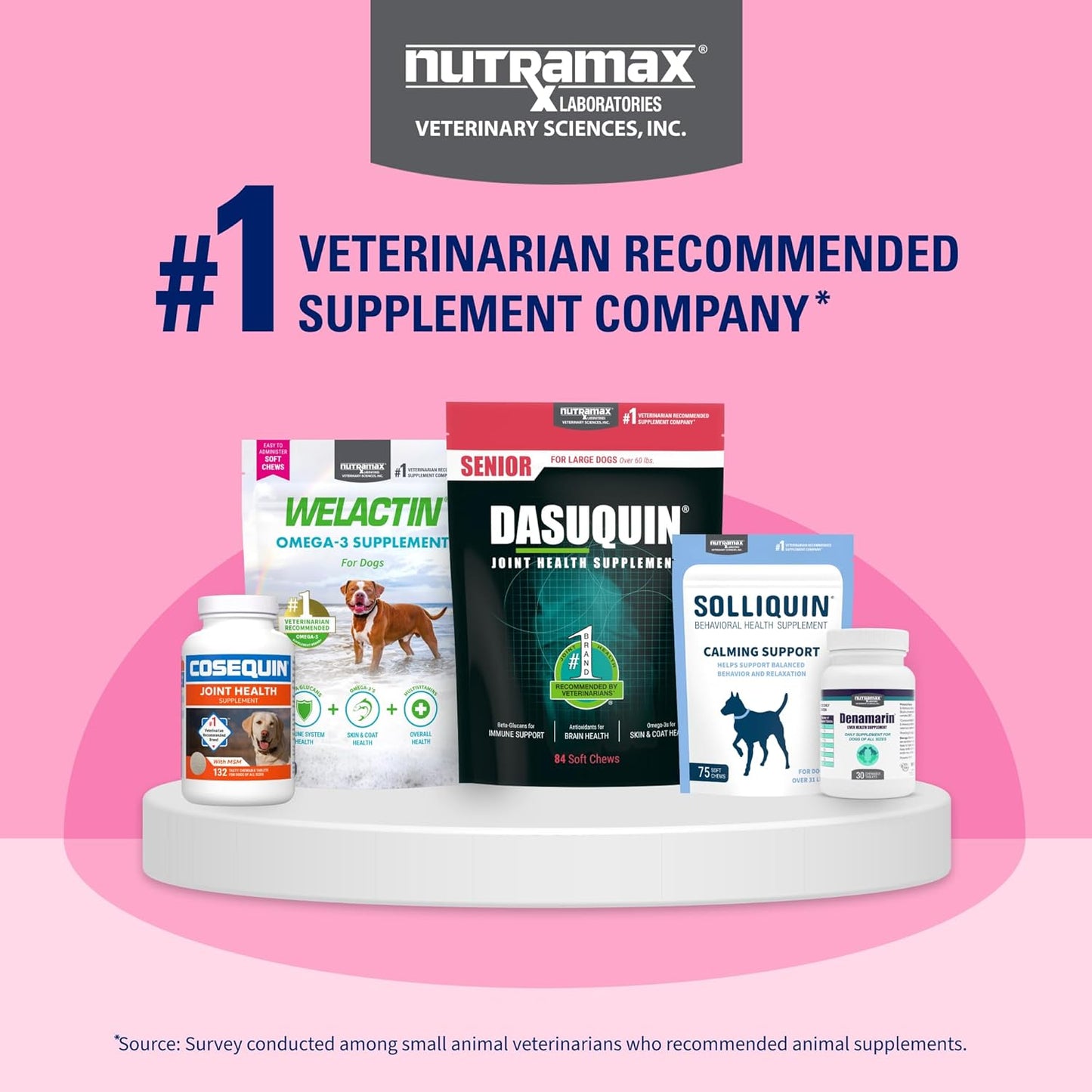 Nutramax Proviable Probiotics for Dogs & Cats - Daily Digestive Health Supplement with Prebiotics | 30 Capsules
