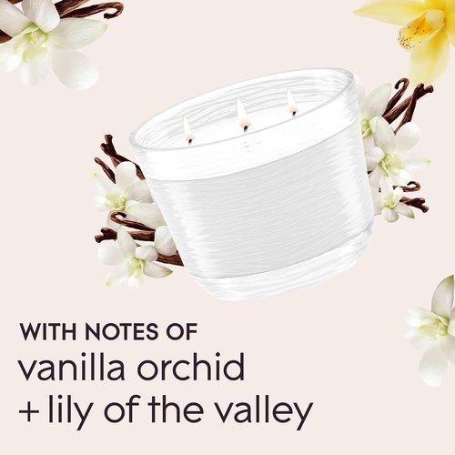 Glade Sheer Vanilla Embrace | Essential Oils Infused 3-Wick Fragrance Candle | 6.8 Oz, 3 Count