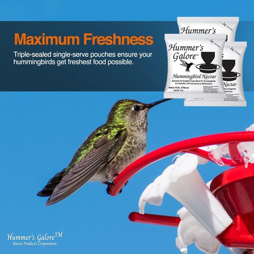 Hummer's Galore Hummingbird Food - All-Natural Ready-to-Mix Nectar, No Preservatives, 192 oz (Pack of 3)