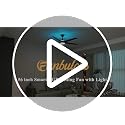 Fanbulous 56-Inch Black Smart Ceiling Fan with RGB Lights, Low Profile