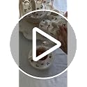 Sweejar Small Flower Floral Tea Set for 6 with Teapot & Saucers – Gold Rim Porcelain, Elegant Gift