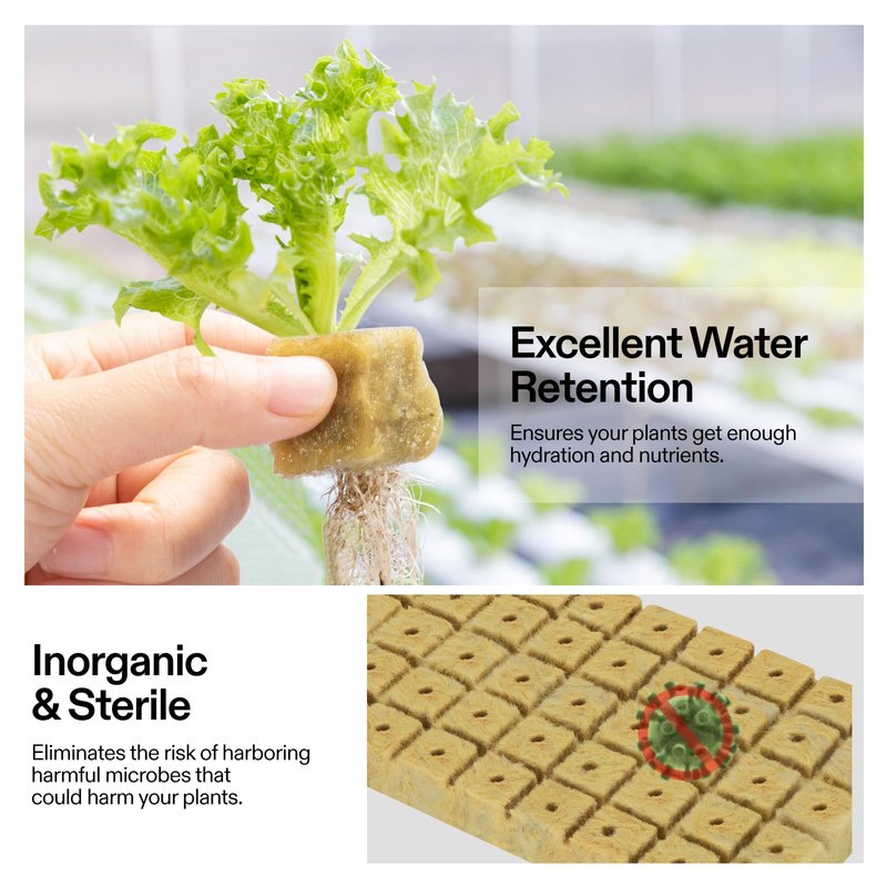 VIVOSUN 1" Rockwool Cubes, 200 Plugs Stonewool Starter Grow Cubes for Cuttings, Cloning, Plant Propagation, Seed Starting, Hydroponic Grow Media for Vigorous Plant Growth