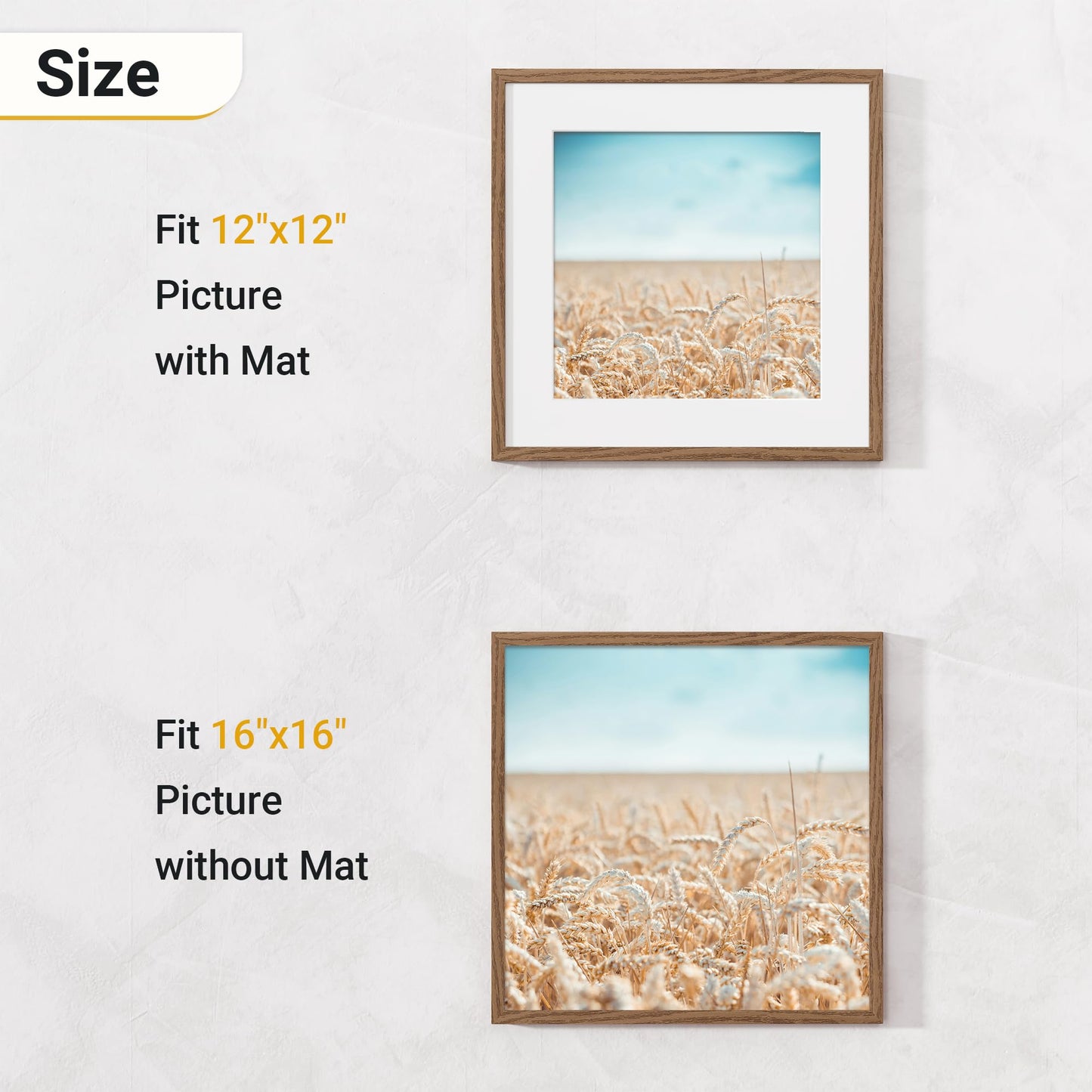 Acovy 16x16 Picture Frame, 16x16 Square Picture Frame for Wall, 16x16 Frame Matted to 12x12, 16x16 Photo Frame with High Definition Plexiglass (Walnut, 1 Pack)