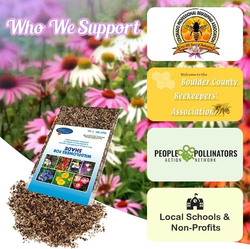 BBB Seed Wildflower Seeds - Open-Pollinated Mix for Partial Shade | 1 oz Packet, Annual & Perennial