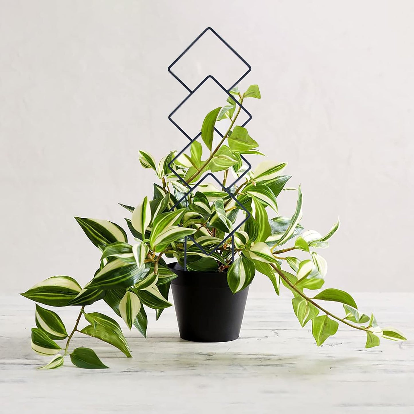 Wellsign Indoor Plant Trellis - 16-Inch Metal Support for Climbing Vines & Flowers | 4-Pack