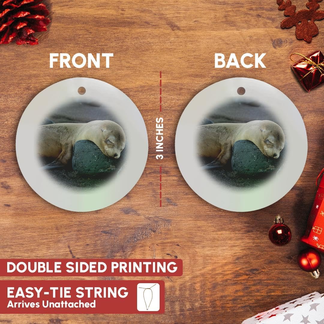 Galapagos Sea Lion Snowflake Ornament - 3DRose Ecuador Santiago Island Decor