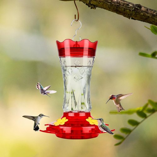 BOLITE Hummingbird Feeder - Leak Proof Design with Ant Moat & Bee Guards - 15 Ounces, Red Stars Decor