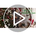 Velvet Christmas Bows Set 24 - Pre-Tied Small Gift & Tree Ornaments