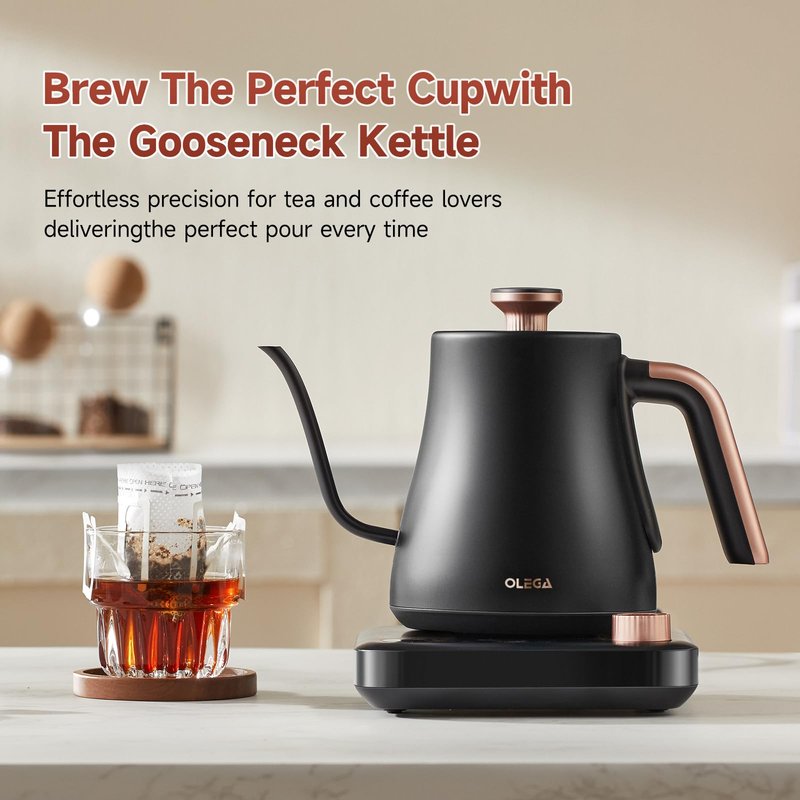 OLEGA Gooseneck Electric Kettle: 1000W Electric Kettles with Temperature Control 0.8L Stainless Steel Electric Tea Kettle Gooseneck Kettle for Coffee Tea Keep Warm (Black)