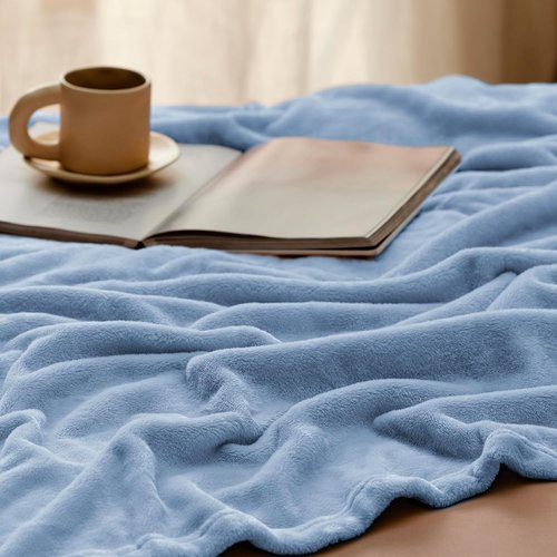 Bedsure GentleSoft Fleece Blanket - Lightweight Plush Cozy Twin Size in Light Blue | 60x80 Inches