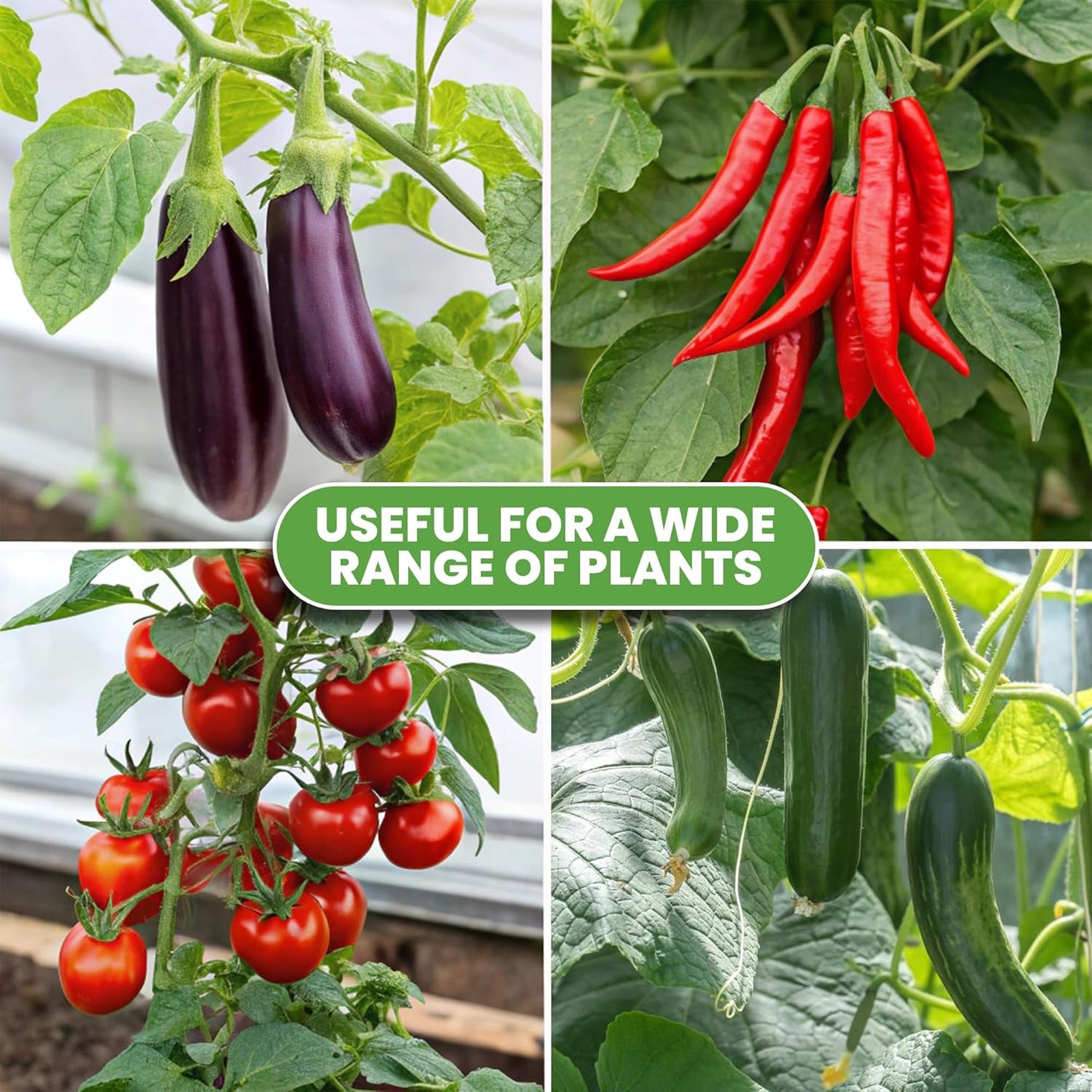 Tomato Cage - Durable Plant Support Structures for Vegetables | Tall 48-Inch Trellis Stakes (6 Pack)