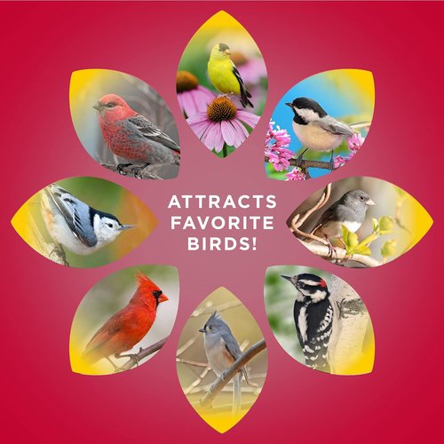 Audubon Park Cardinal Blend Wild Bird Food - Premium Cardinal Bird Seed for Feeders | 4-Pound Bag