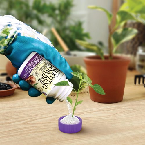 Bonide Bontone II Rooting Powder - 1.25 oz Ready-to-Use Dust for Faster Root Development in Houseplants