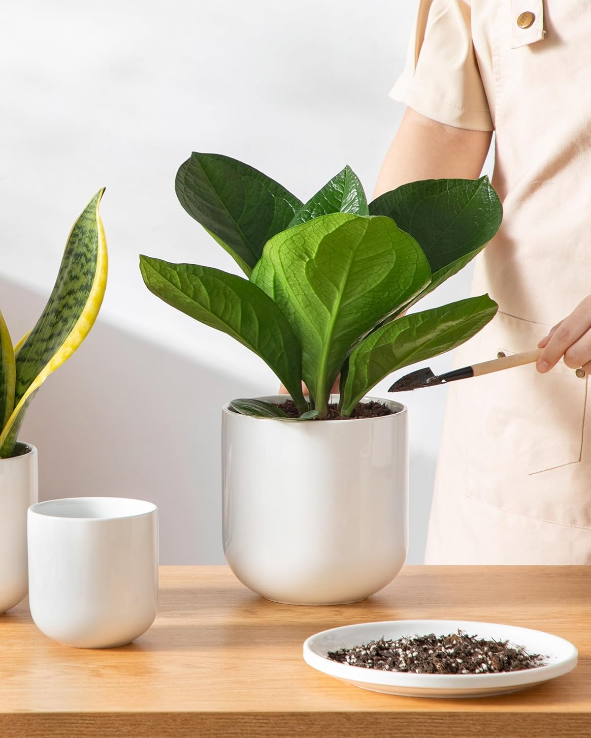 Vancasso Ceramic Plant Pots - Set of 3 (4", 5", 6") | Modern Indoor Planters with Drainage Holes - White