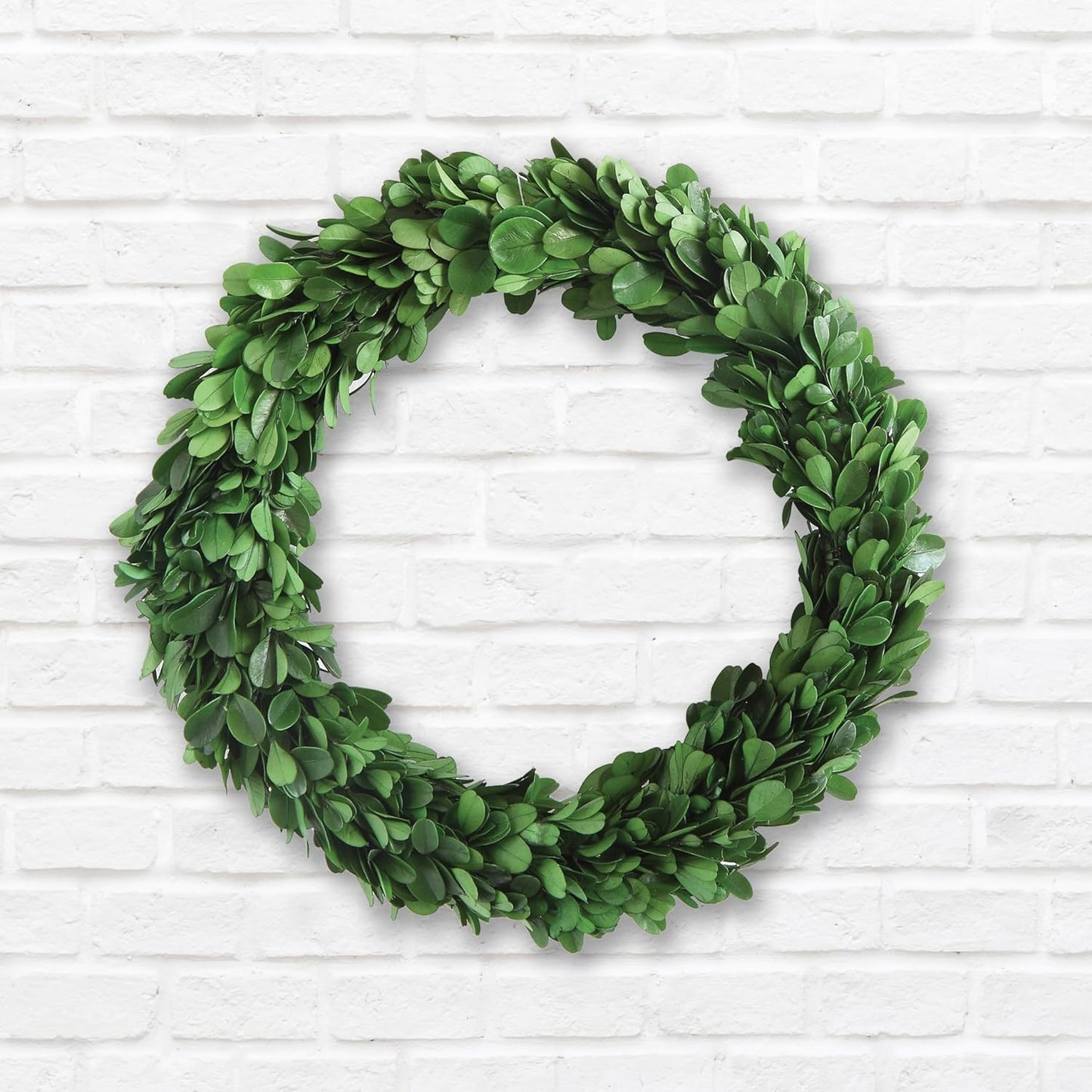Preserved Boxwood Wreath - Authentic Decorative Greenery for Home Decor