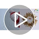 24 Inch Gold Christmas Wreath with Berries Bells Pampas Grass for Front Door & Indoor Decor