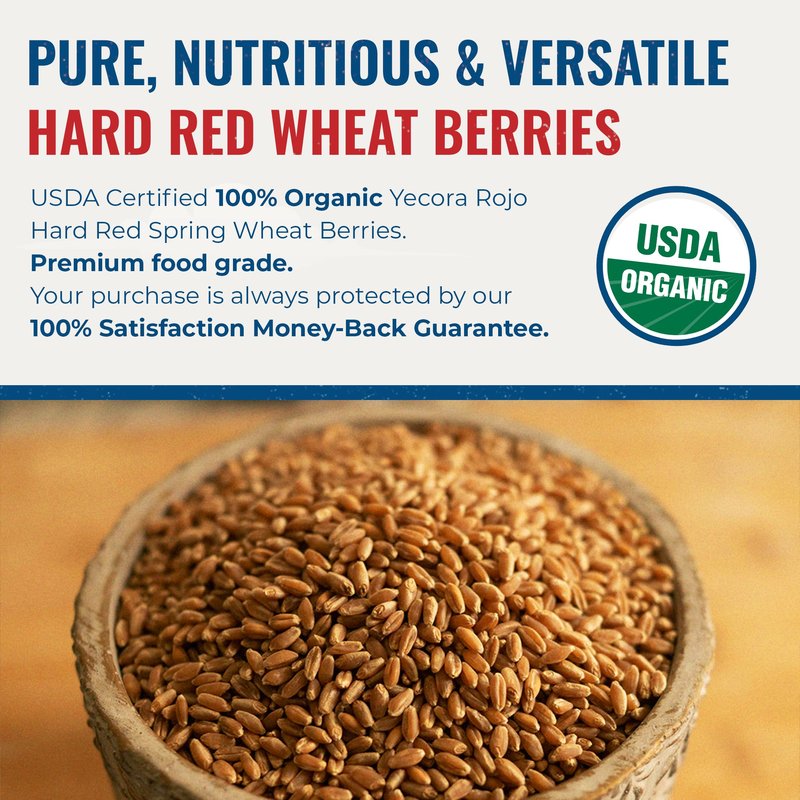 Yecora Rojo Hard Red Wheat Berries by Grand Teton Organic Wheat | Organic Hard Red Spring Wheat Berries for Baking Whole Grain Breads or Milling Into Flour | Non-GMO, (15 Pounds)