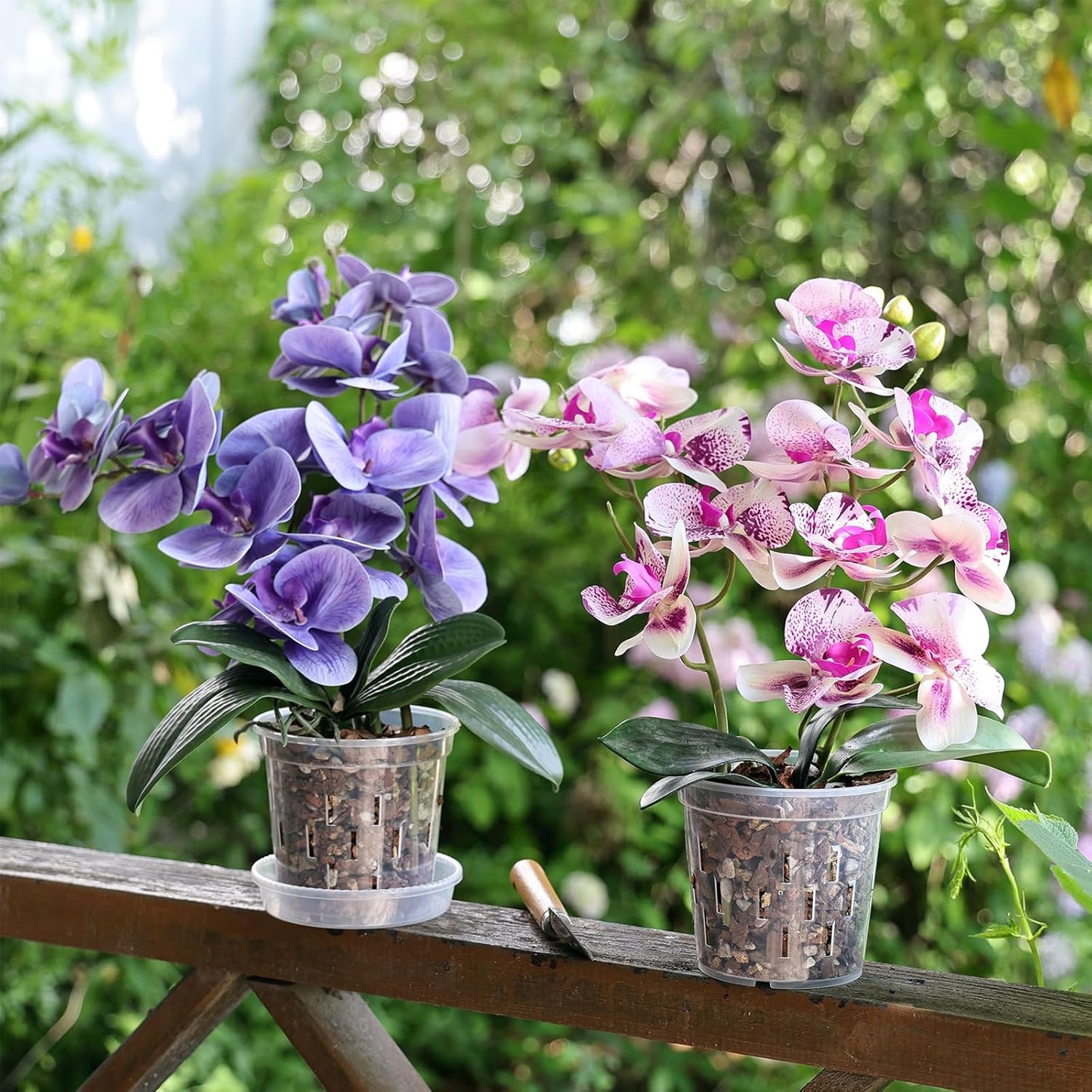 TRUEDAYS Orchid Pots - 5 Inch Clear Pots with Drainage Holes | 4 Pack for Healthy Root Growth