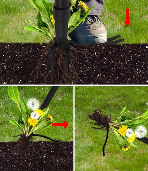 GardenWeasel Weed Puller Tool - 4-Claw Stand-Up Gardening Tool with 47.8" Adjustable Stainless Steel Handle