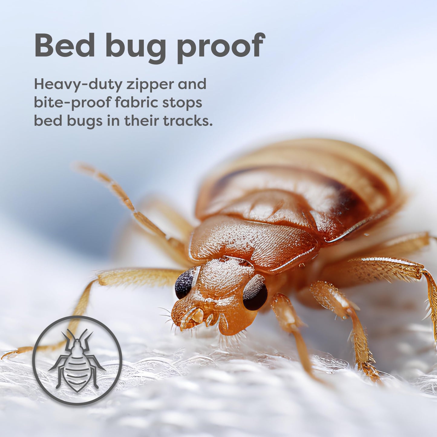 HOSPITOLOGY PRODUCTS Mattress Encasement - Zippered Bed Bug Dust Mite Proof Hypoallergenic - Sleep Defense System - Full XL - Waterproof - Stretchable - Standard 12" Depth - 54" W x 80" L