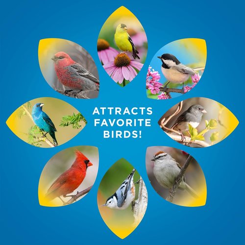 Audubon Park Songbird Blend Wild Bird Food - Premium Outdoor Feeder Mix, 14-Pound Bag