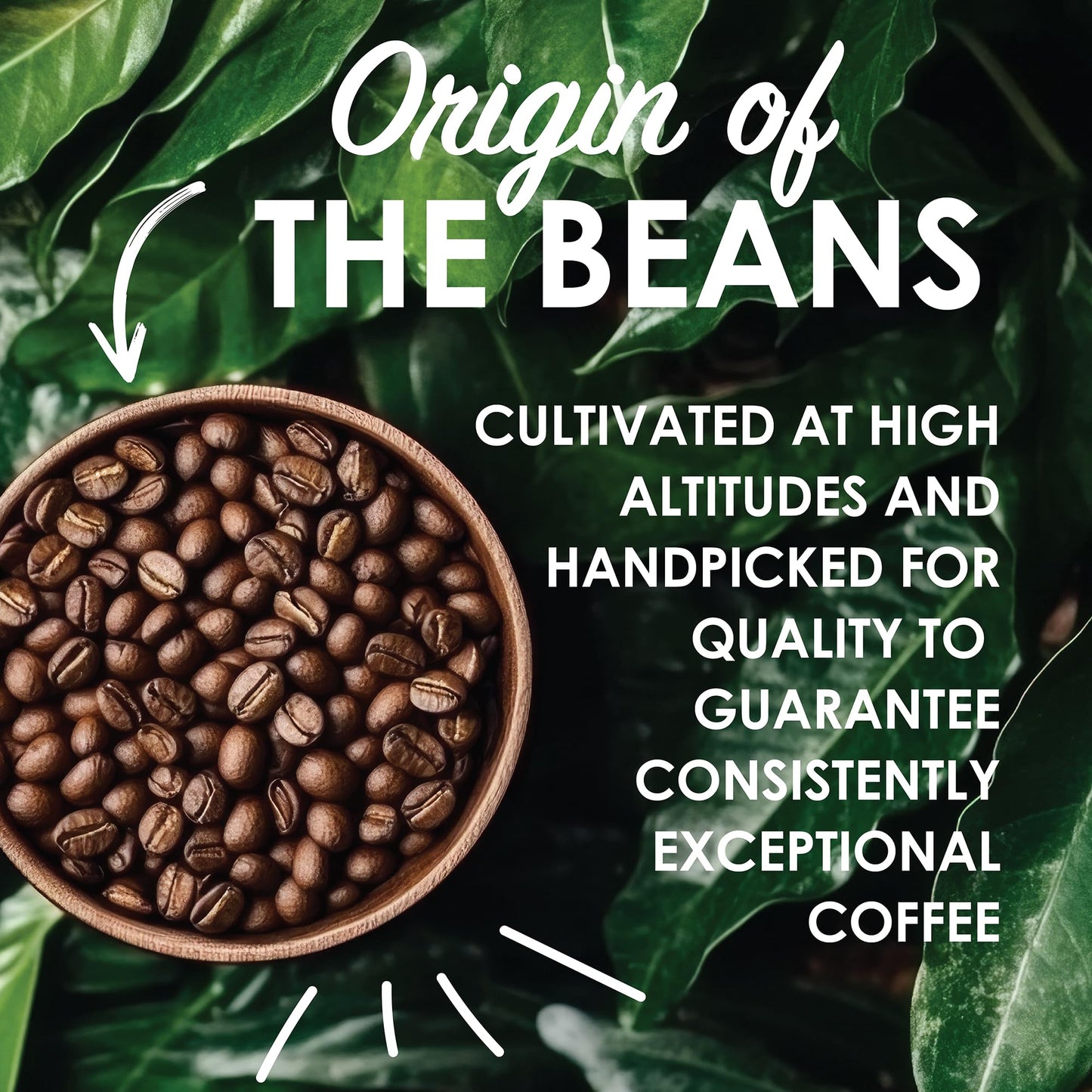 Magnum Exotics Coffee, Blue Mountain Blend - Medium-Light Roast, Whole Bean, Made from 100% Arabica Beans, Rich & Smooth Flavor, Fresh Roast - Blue Mountain Blend, 2 Lb Bag (32 oz)
