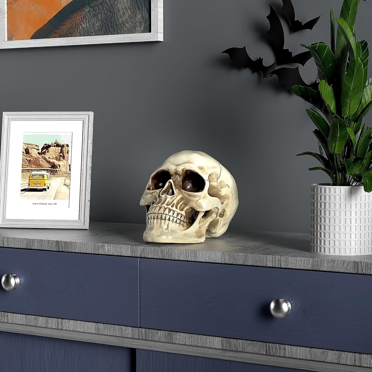 Resin Skull Decor - Human Head Model for Halloween Home Decoration & Bookshelf